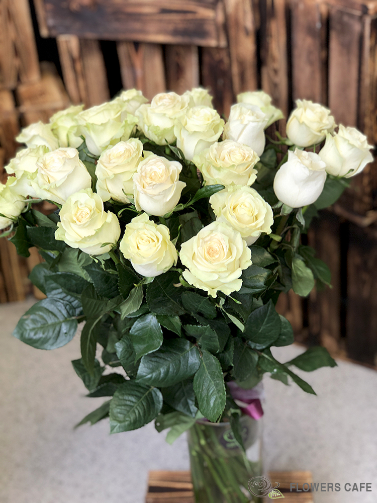Белые Розы Букет Фото Реальное